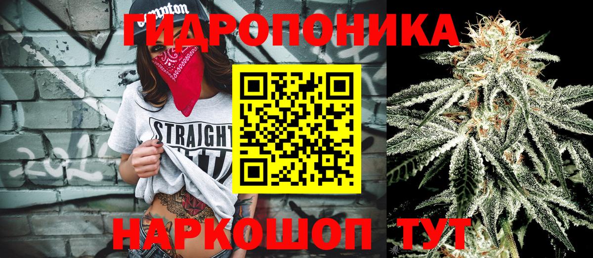 Дивногорск  Конопля план  Бошки Шишки LSD WEED  Вход с VPN 